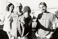 The Pimps