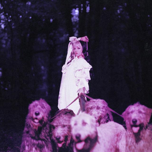 amy michelle