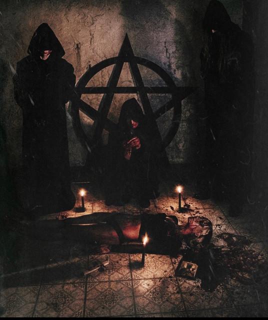 Temple of the Fuzz Witch