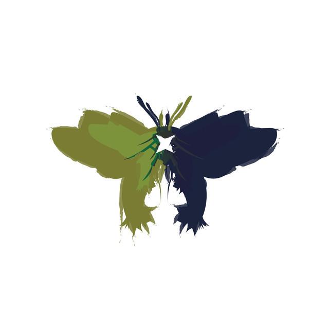 Of Moths And Stars
