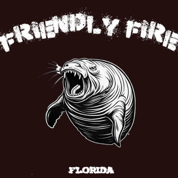 Friendly Fire