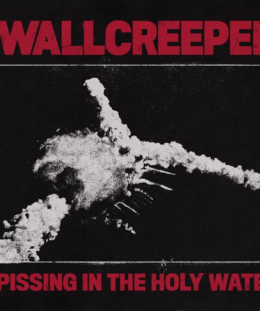 Wallcreeper