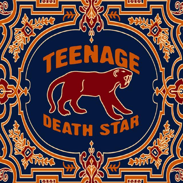 Teenage Death Star
