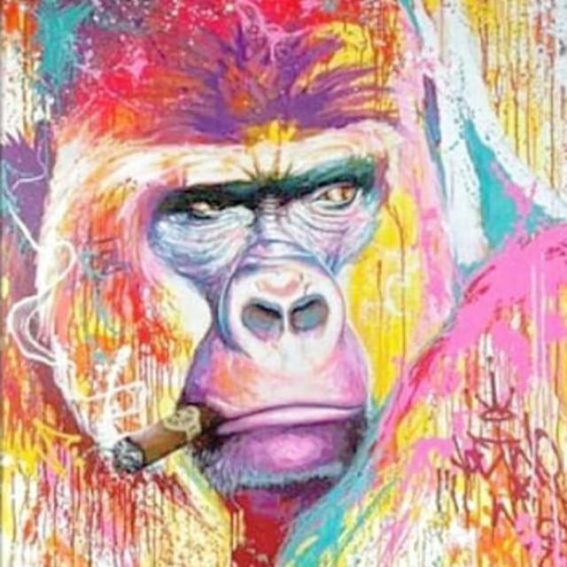 Gorilla Social