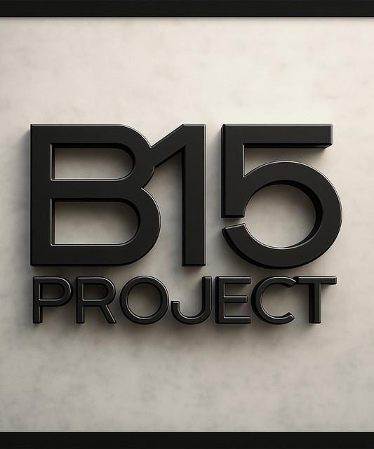 B15 Project