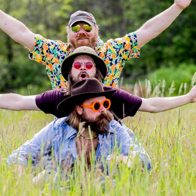 The Driftless Revelers