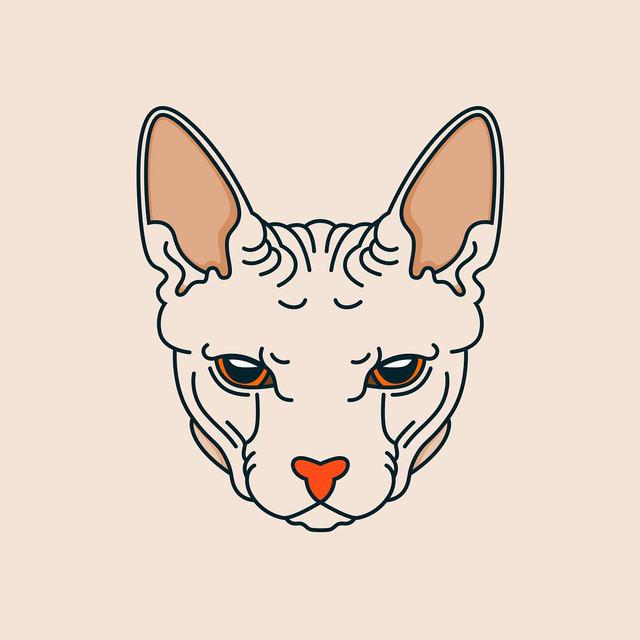 Kuma