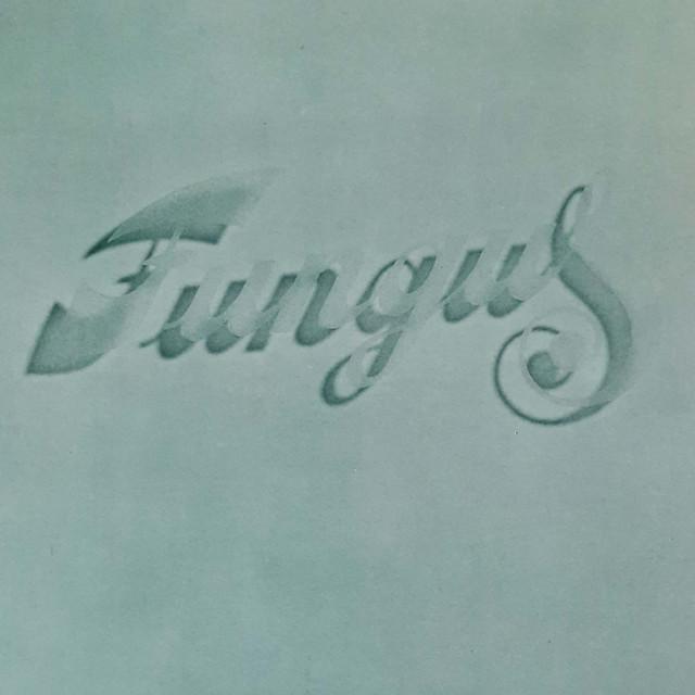 Fungus