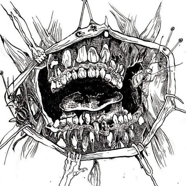 Pretty Mouth