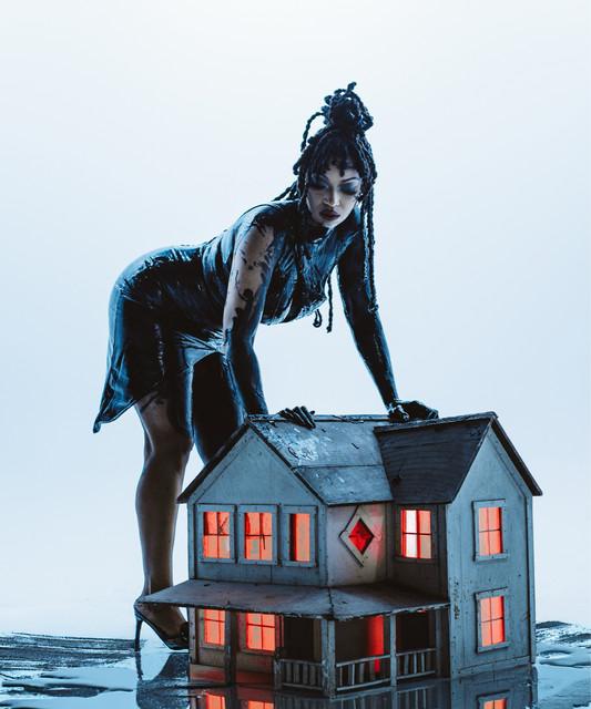 Dutch Rebelle