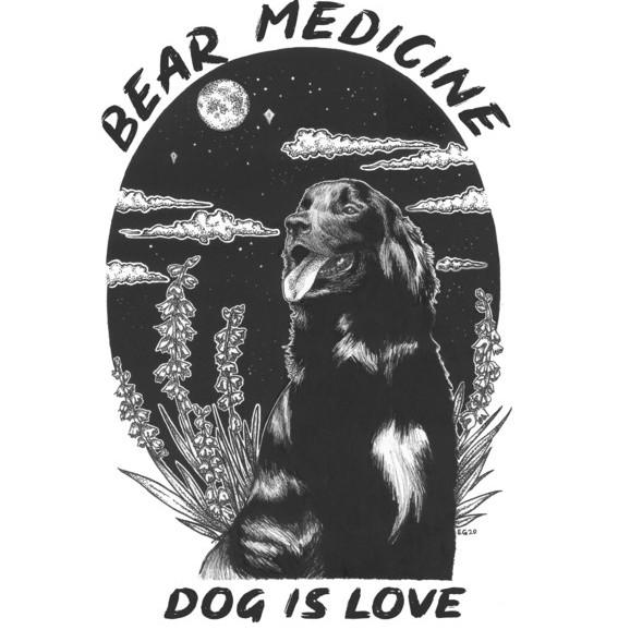 Bear Medicine