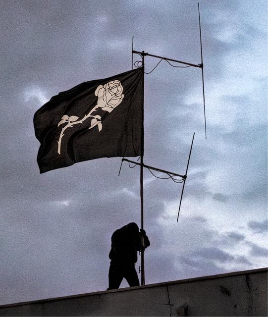 LIBERATO
