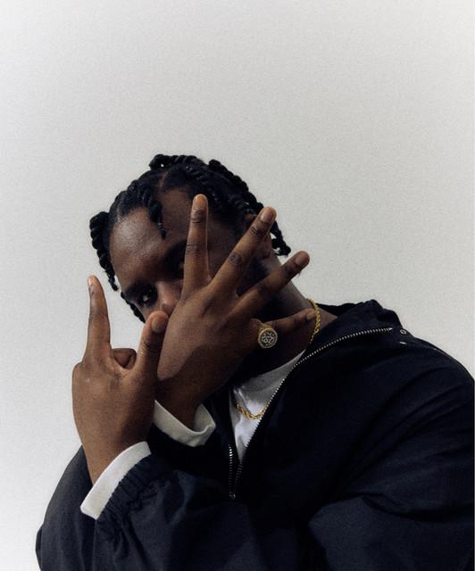 Novelist