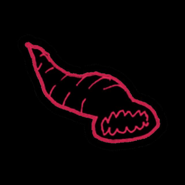 leeches