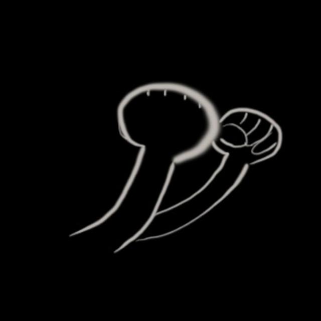 The Fisticuffs