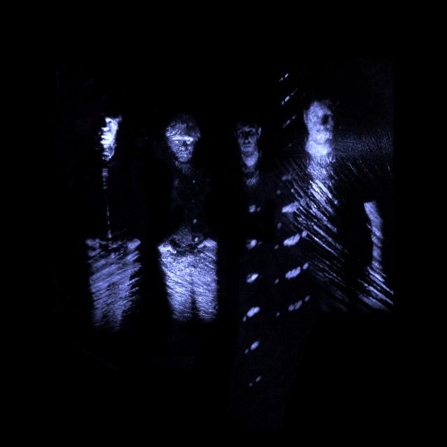N U I T