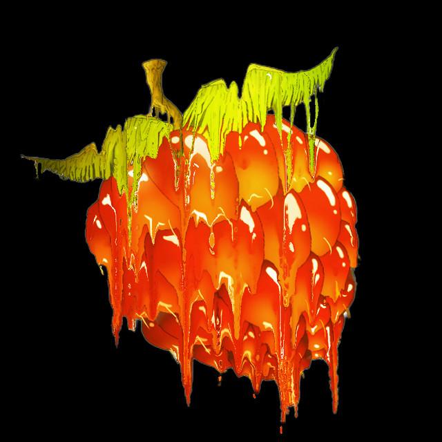 The Salmonberries