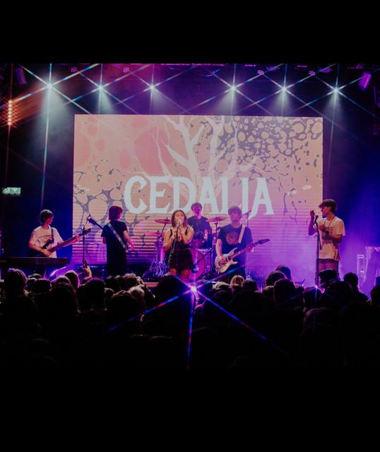 Cedalia