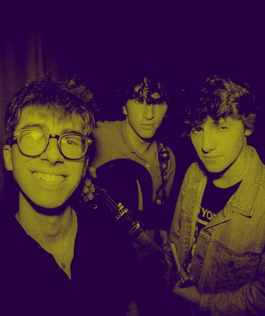 The Radio Relics