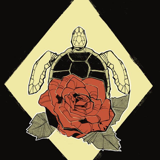 Hollow Turtle