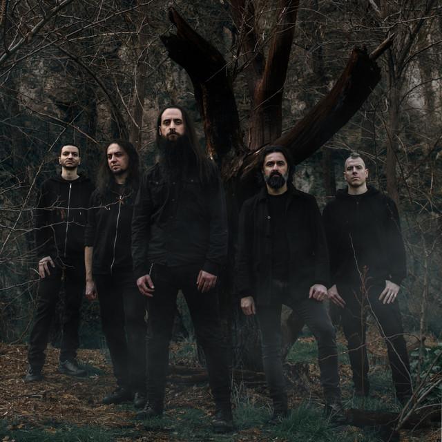 Shores Of Null