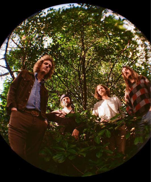Triptides