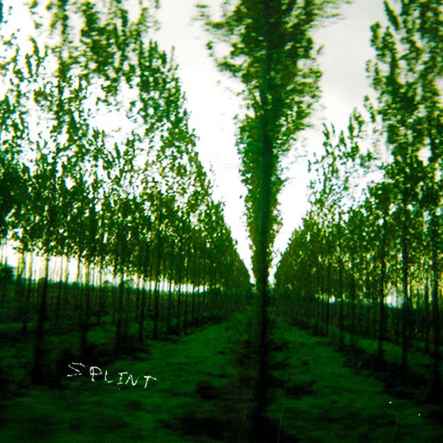 splint