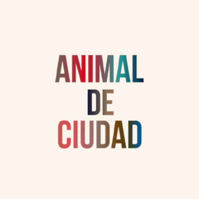 Animal de Ciudad