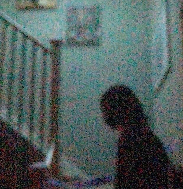 Dearly Somber
