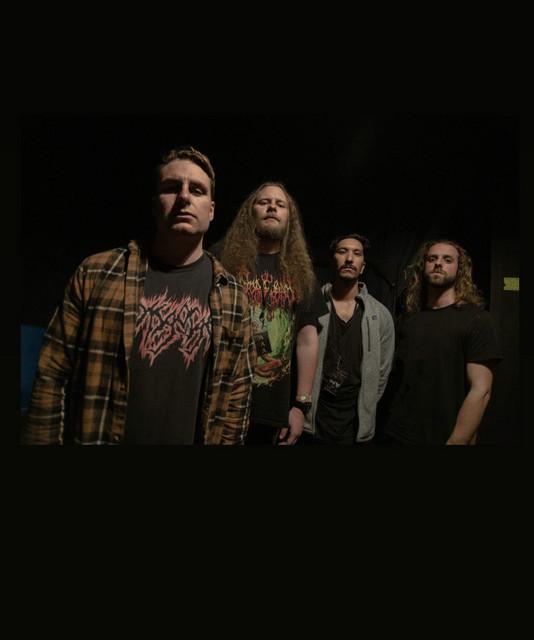 Disentomb