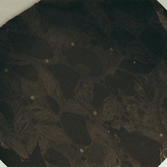 MokuMoku