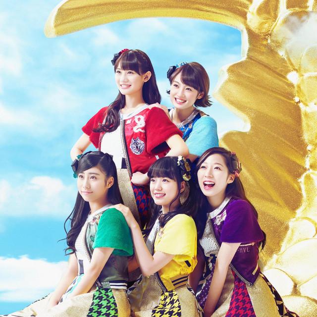 Team Syachihoko
