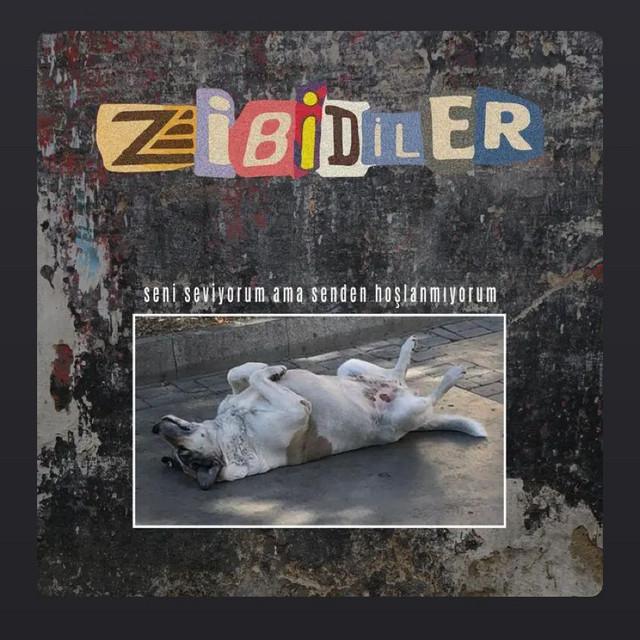 Zibidiler