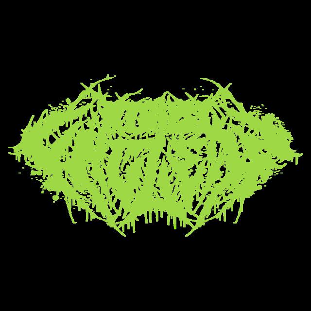 A Trust Unclean