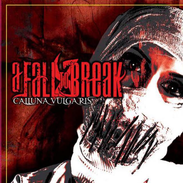 A Fall To Break