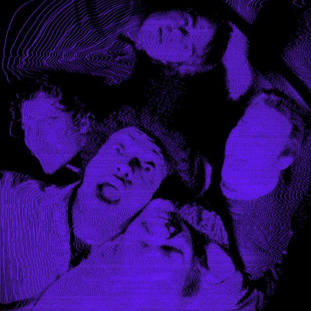 Indigo Folly