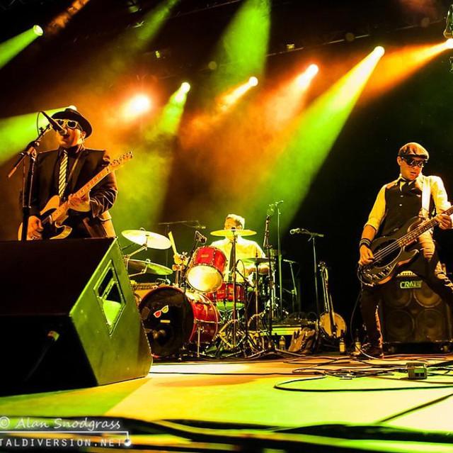 Johnny Madcap And The Distractions