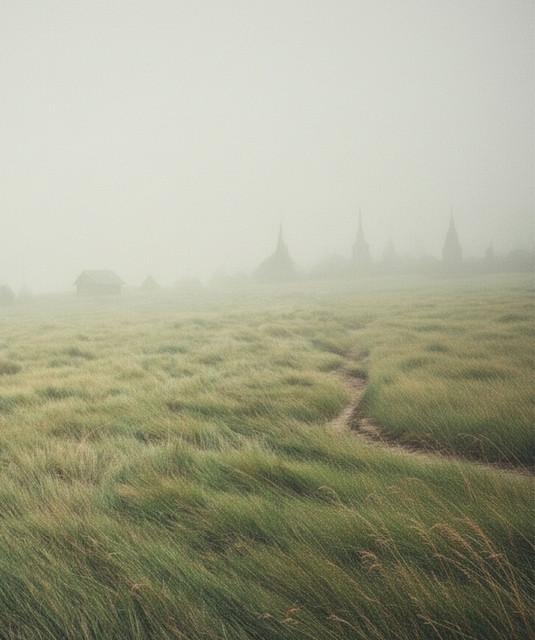 Misted Minds