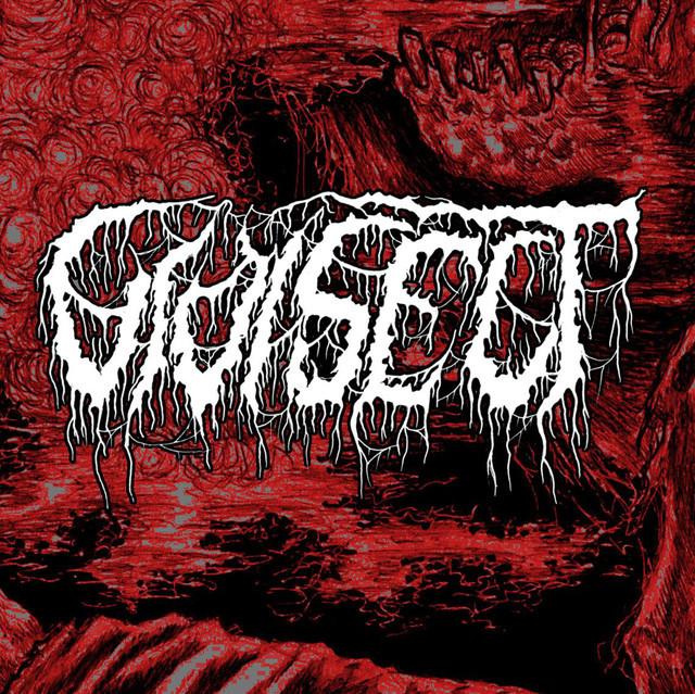 Vivisect