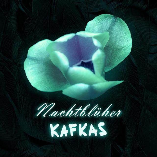 Kafkas