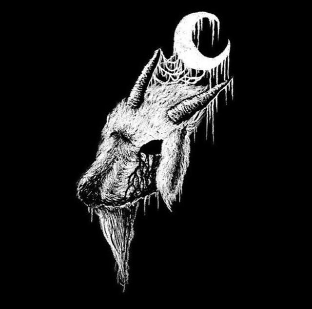 Casket Raider