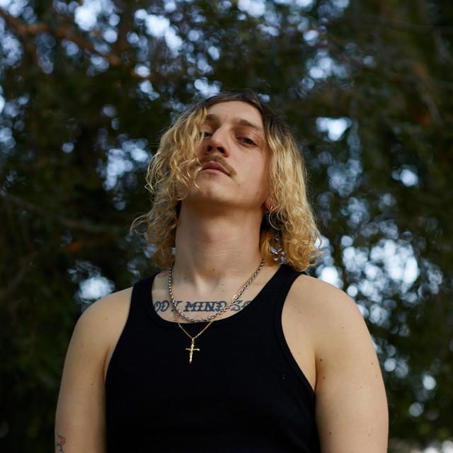 Trip Rexx