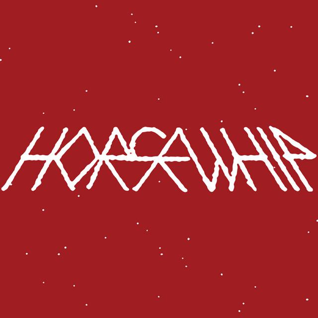 Horsewhip