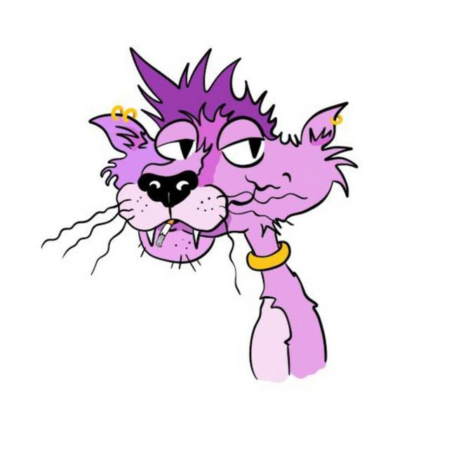The Punk Panther