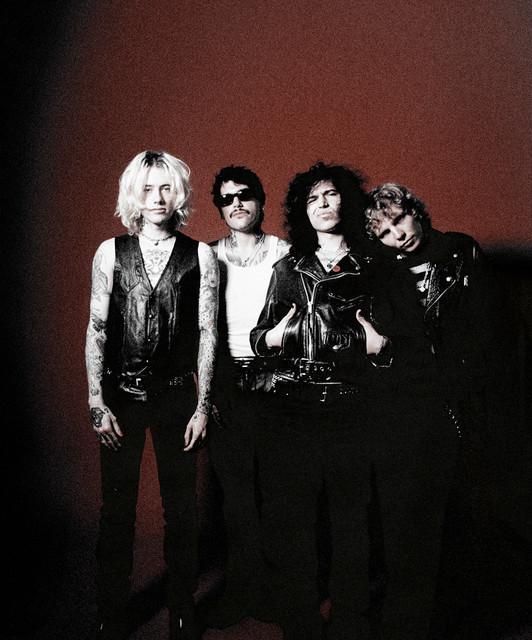 BEAUTY SCHOOL DROPOUT