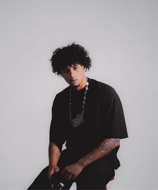 PJ HOUDINI