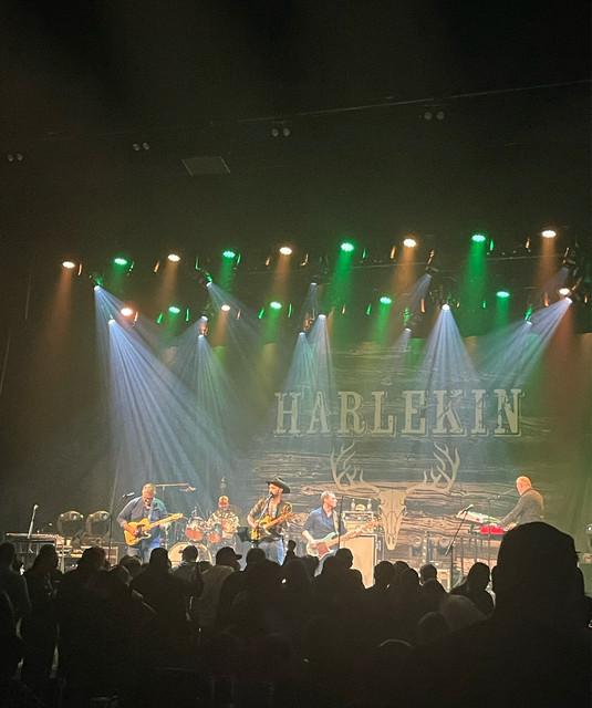 Harlekin