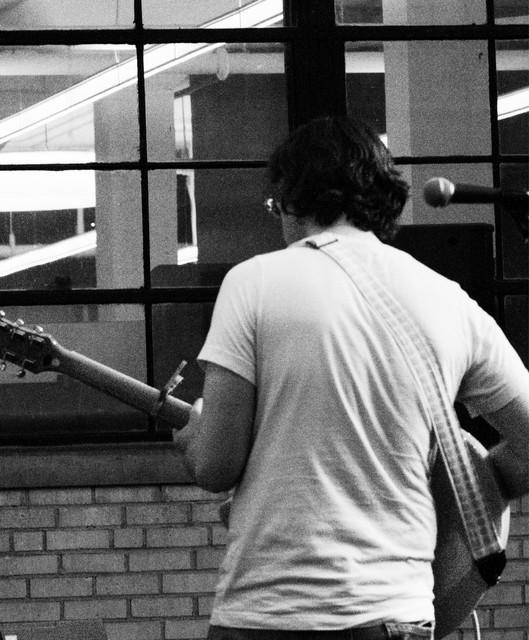Among Wallflowers