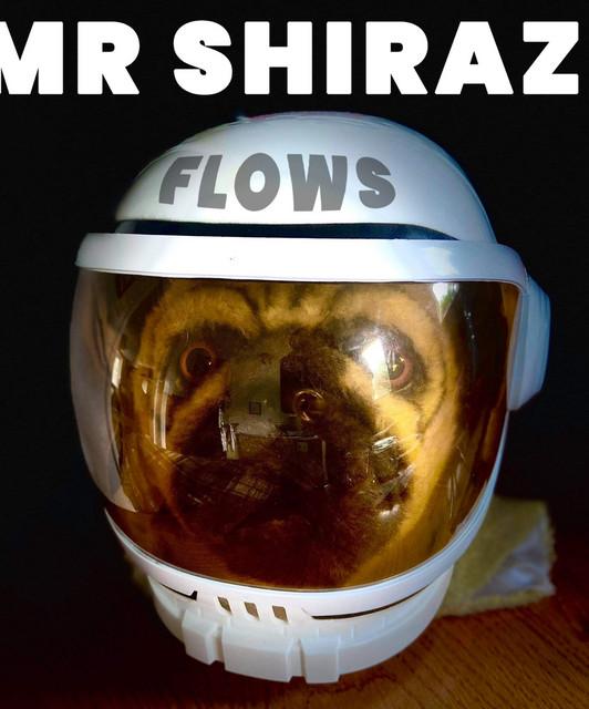 Mr Shiraz