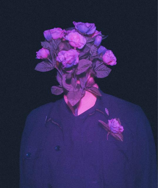 Yankee Roses